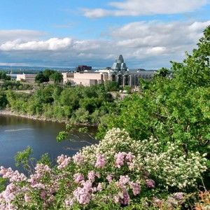 Meet your Posher, Niko